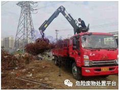 垃圾分类 系千家 利万民 沙河口区政府领导来我公司调研垃圾分类工作